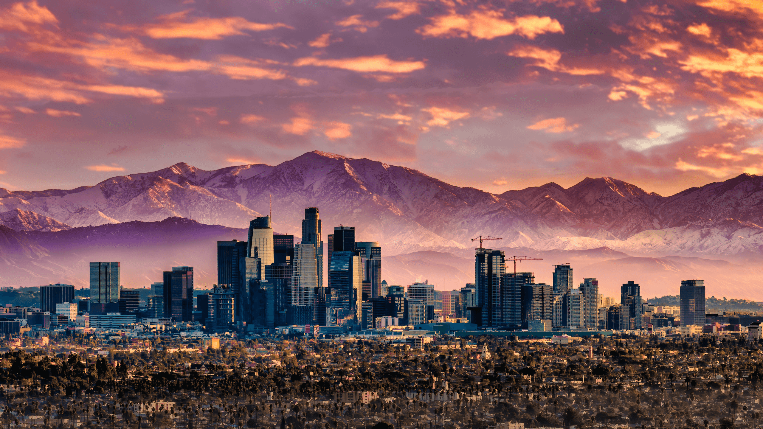 Los Angeles Based Immigration | OnlineVisas